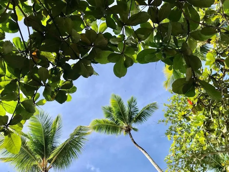 Apartment 2 Bedroom Penthouse Playa Bonita M302 Las Terrenas